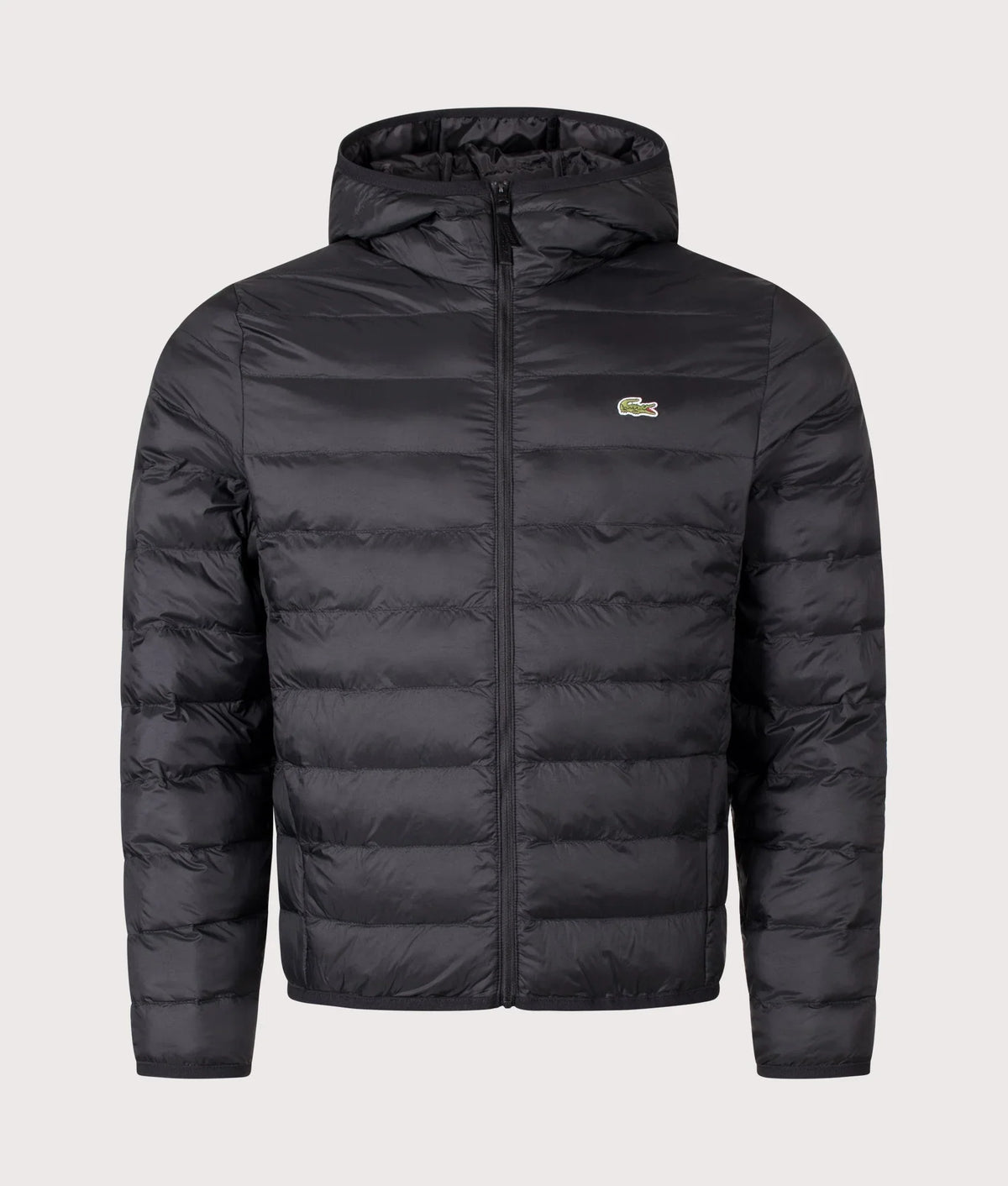 Regular Fit Down Puffer Jacket orvanelli.com