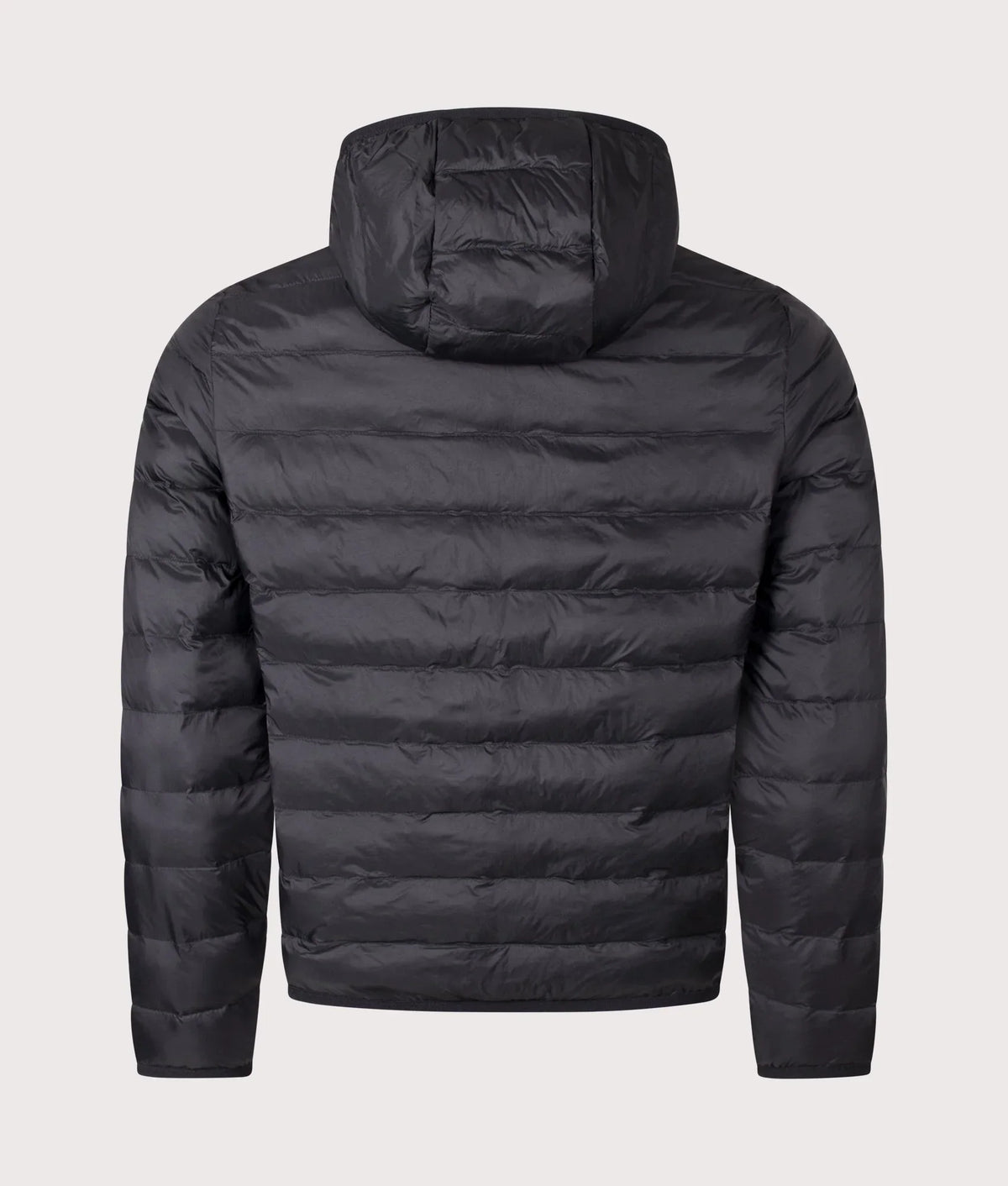 Regular Fit Down Puffer Jacket orvanelli.com