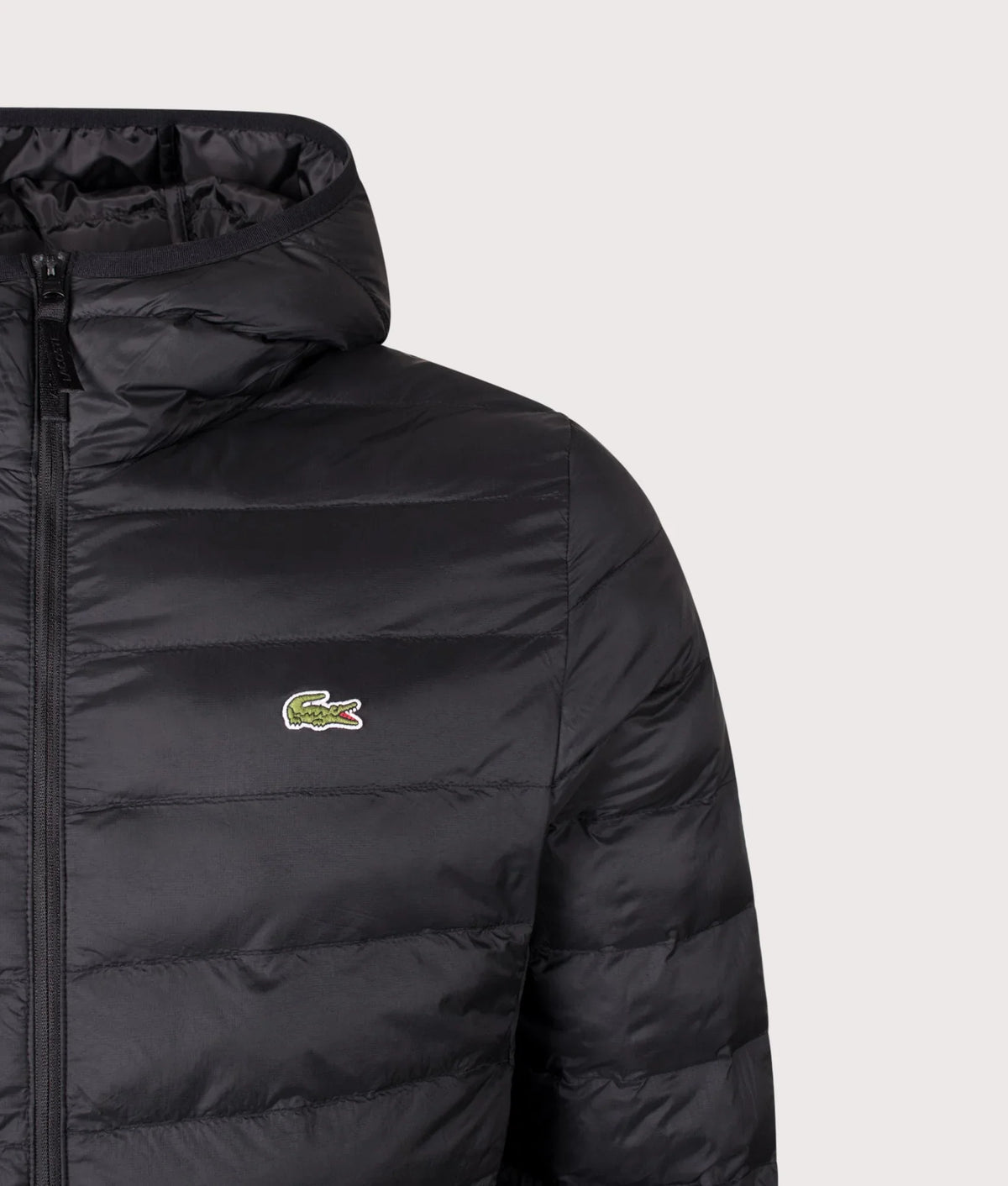 Regular Fit Down Puffer Jacket orvanelli.com